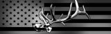 ELK WINDOW GRAPHIC-BY UPSTREAM IMAGES