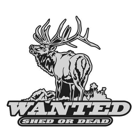 BULL ELK DECAL Titled "WANTED SHED OR DEAD" By Upstream Images
