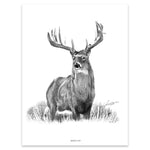 "HEADS UP" WHITETAIL PRINT